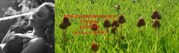 ешки Балахна
