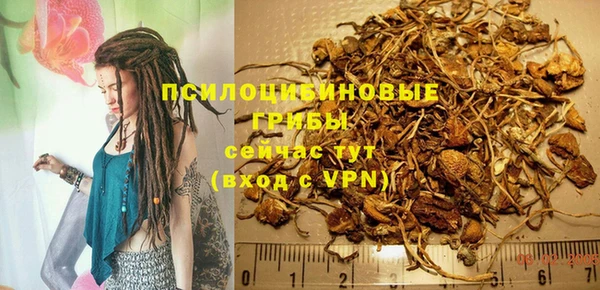 гашик Баксан