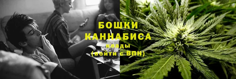 блэк спрут   где продают наркотики  Белёв  Шишки марихуана Amnesia 